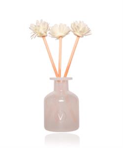 Ambientador com Difusor Natural - Aloe Spa